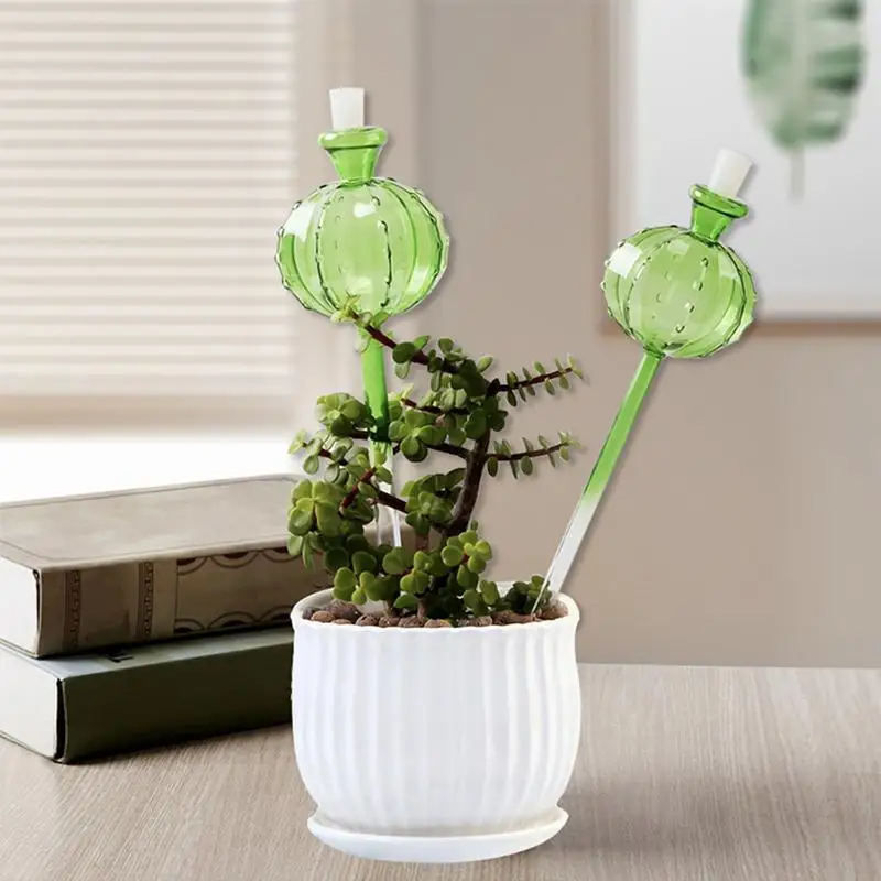 

Plant Watering Globes Automatic Plant Watering Enfusion Green Cactus-Shaped Glass Watering Globes For Indoor & Outdoor Plants