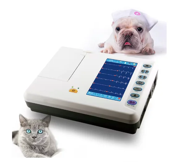 

ECG medical equipment veterinary ecg machine doppler