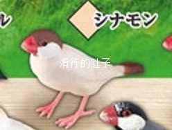 SHINE-G Japon Gashapon Figure Mignon Kawaii Mannikin Oiseau Chickadees Titmouse Figurine Anime Gachapon Capsule Jouets Décor De Bureau