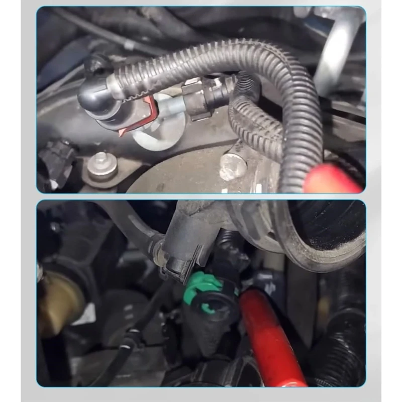 Black Hose Assembly for 1.5L Models 2014-2016, Replacement Purge Hose Set With DG9Z-9D289-H Reference Numbers and Visible