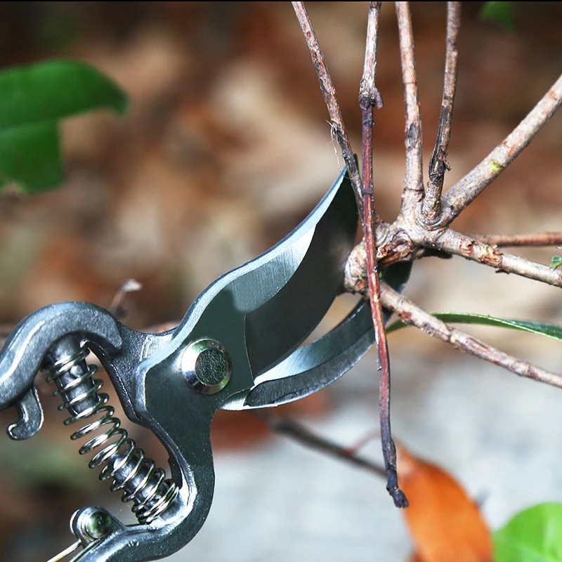 Heavy Pruning Shear Pruners Cutters Pruning Tool Durable Branch Cut Scissors Plant Trimmer Garden Shears Gardening Tools 1Pc