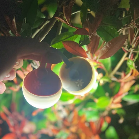 Портативный USB фонарь CHIN TORCH с перезарядкой — фото устройства