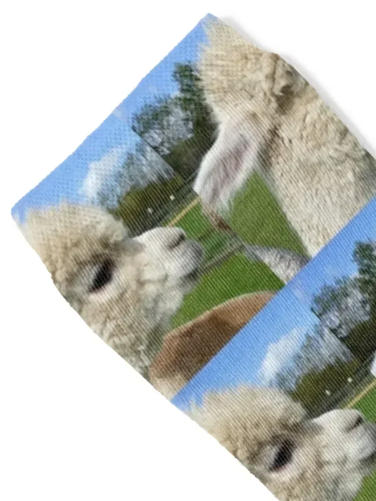 Alpaca Face Socks with print snow Socks For Girls Men's