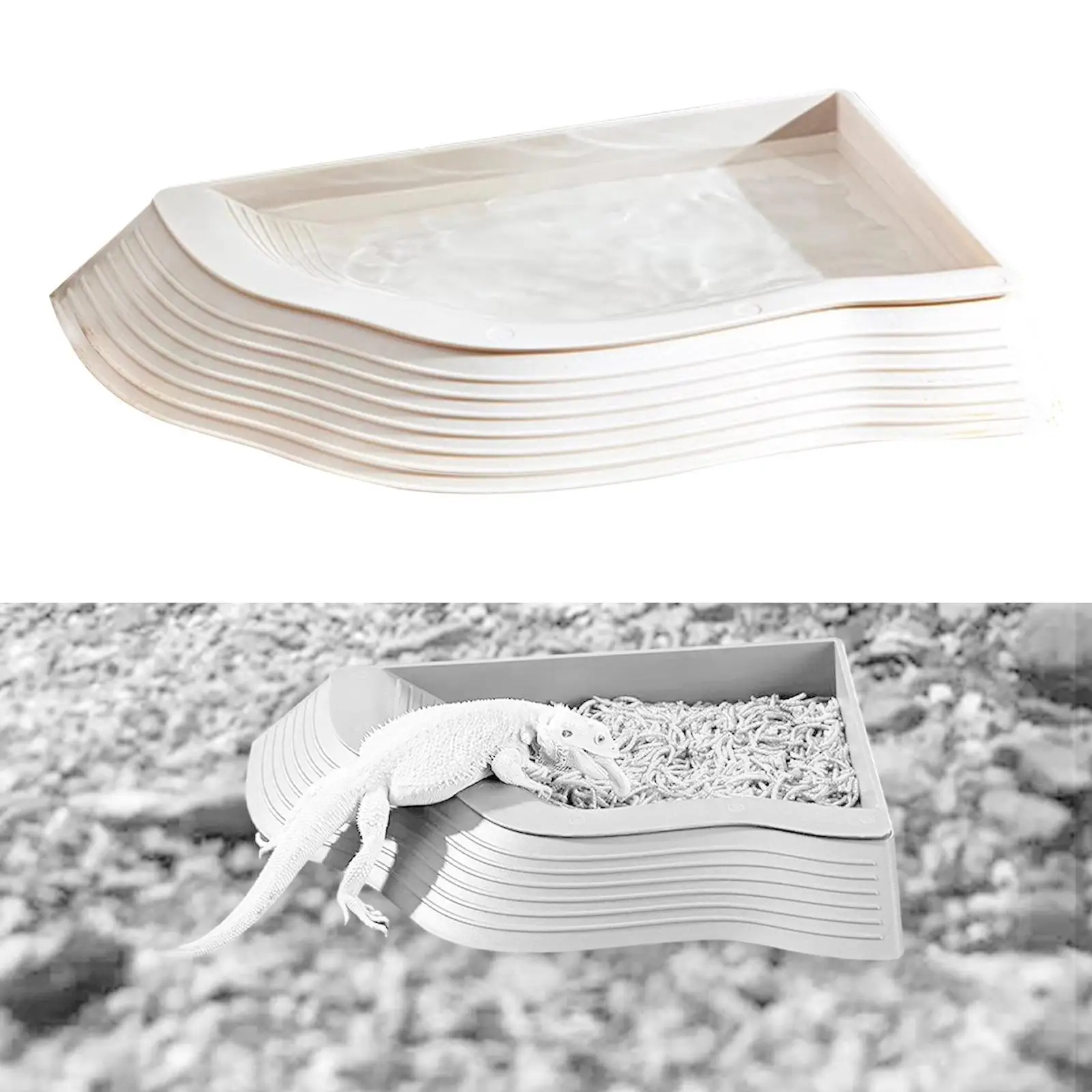 Turtle Bath Tortoise Food Dish with Slope Decorations Tortoise Feeder Lizards Habitat for Snake Turtle Gecko Hamster Tortoise