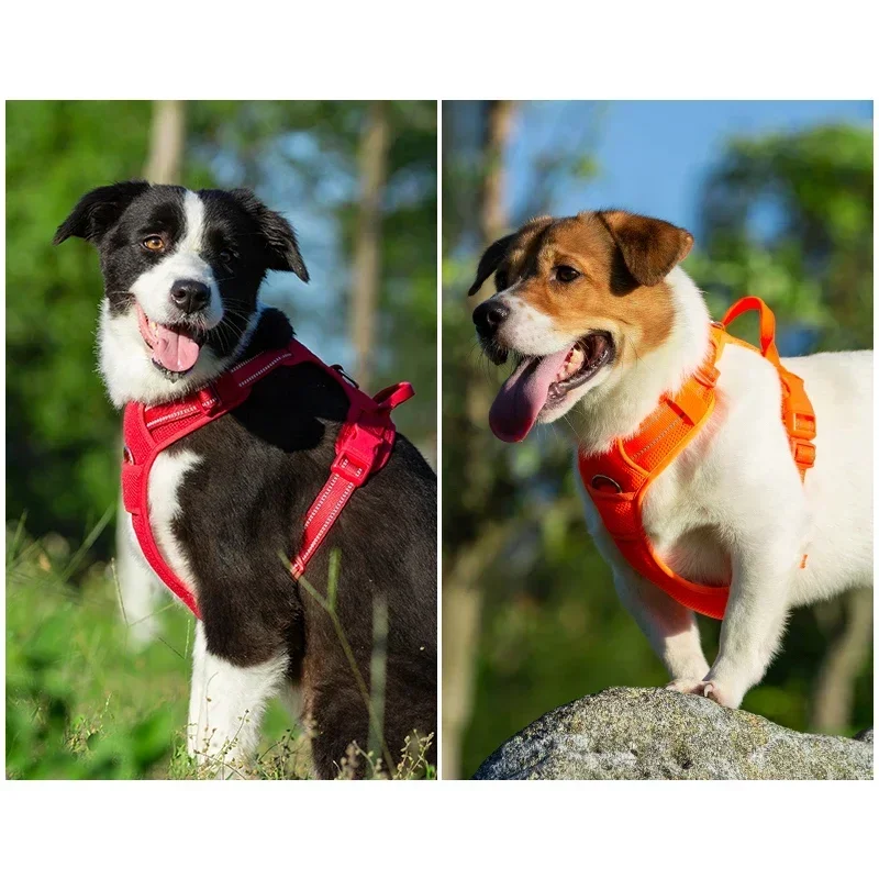 Thumbnail 3 - #74 Pet Harnesses List of Top Picks
