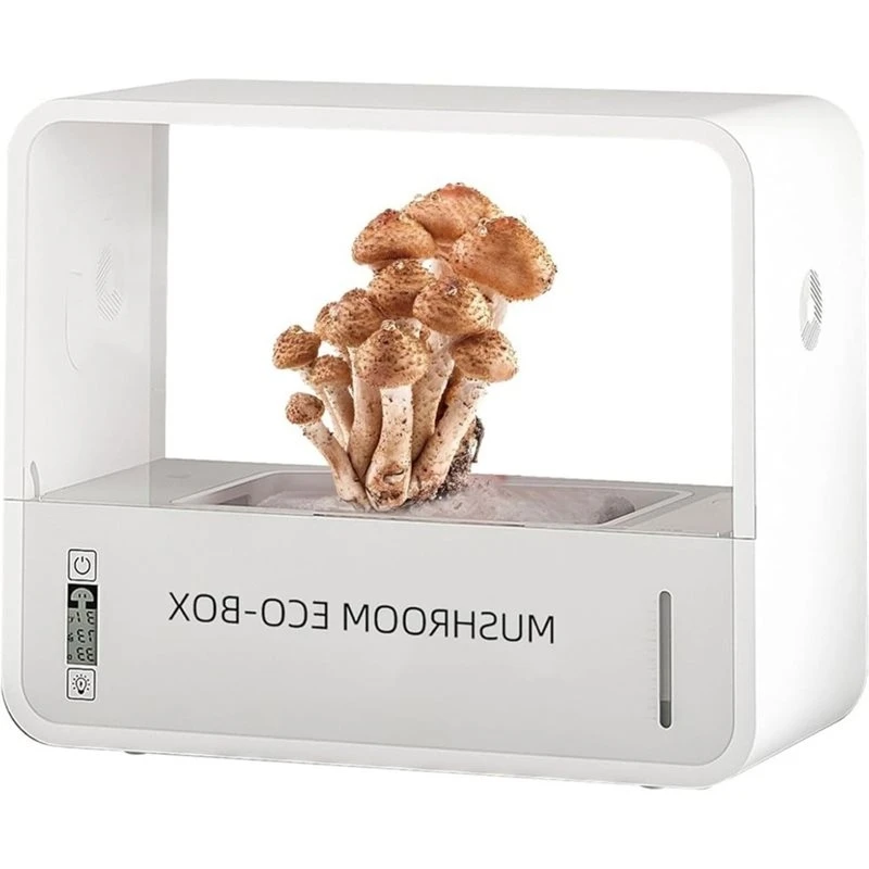 |Modernbuy Smart Mushroom Grower, Terrarium, Mushroom Tent, Growing Box, Shiitake Cultivator, Humidifying Grow Box