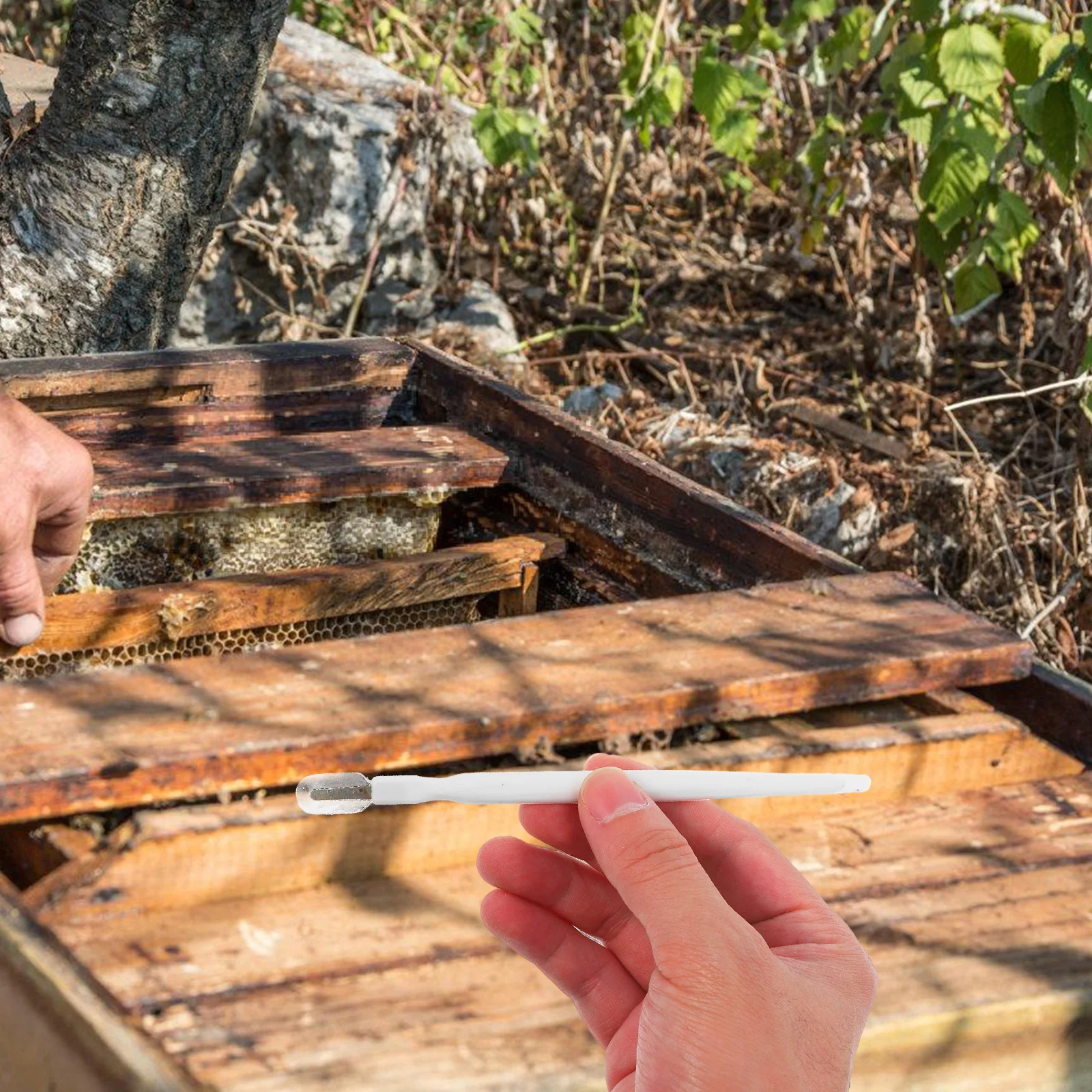 

10pcs Royal Scraping Pen Beekeeping Supplies Precision Tool Outdoor Beekeeper Tool Hive Equipment Portable Lightweight