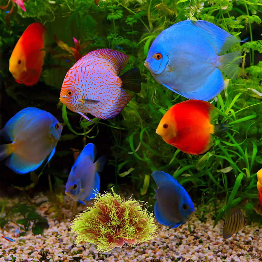

Artificial Aquarium Plants Fish Tank Decoration Realistic Vibrant Fake Plants Ornament Durable Safe Resin Fish Tank Decor