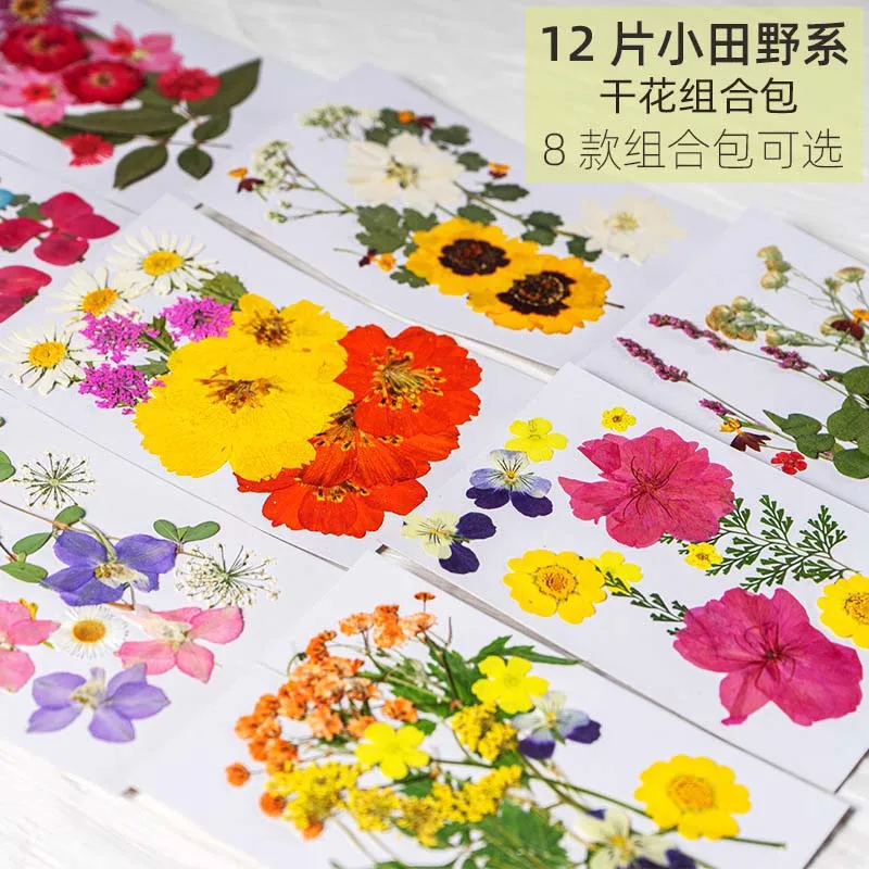 12&24PCS/Dried Natural Pressed Flowers Combination Material Kit,Dry Press Greenery Leaves For Resine Epoxy Craft,Jewelry Making