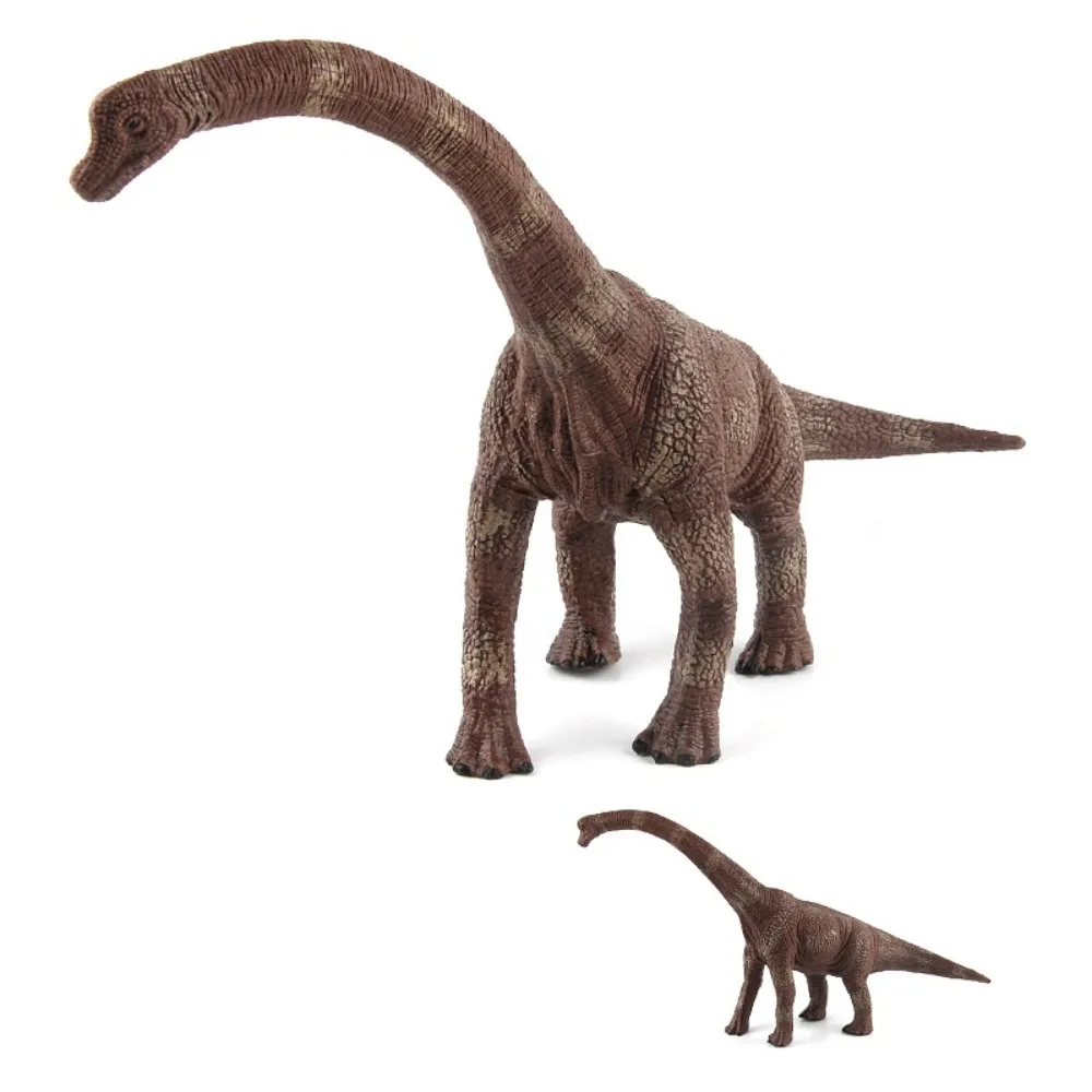 

Herbivorous Dinosaur Model Simulated Realistic Dinosaur Action Figures Apatosaurus Educational Jurassic Dinosaur Collection