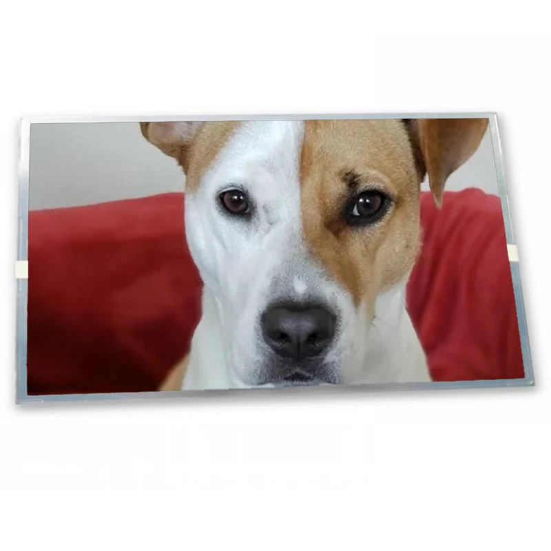 8.4 Inch Lcd Panel …