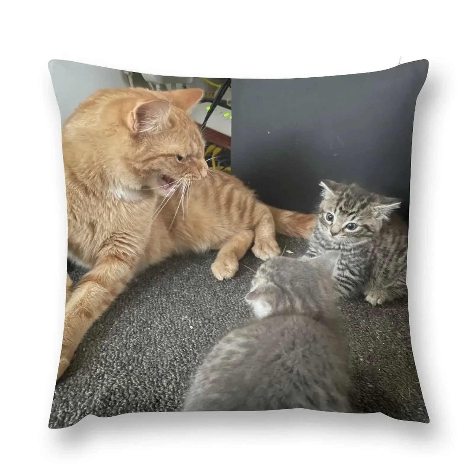

Circle of Hisstrust Throw Pillow home decor items Pillow Case Luxury Cushion Cover Cushions For Children pillow