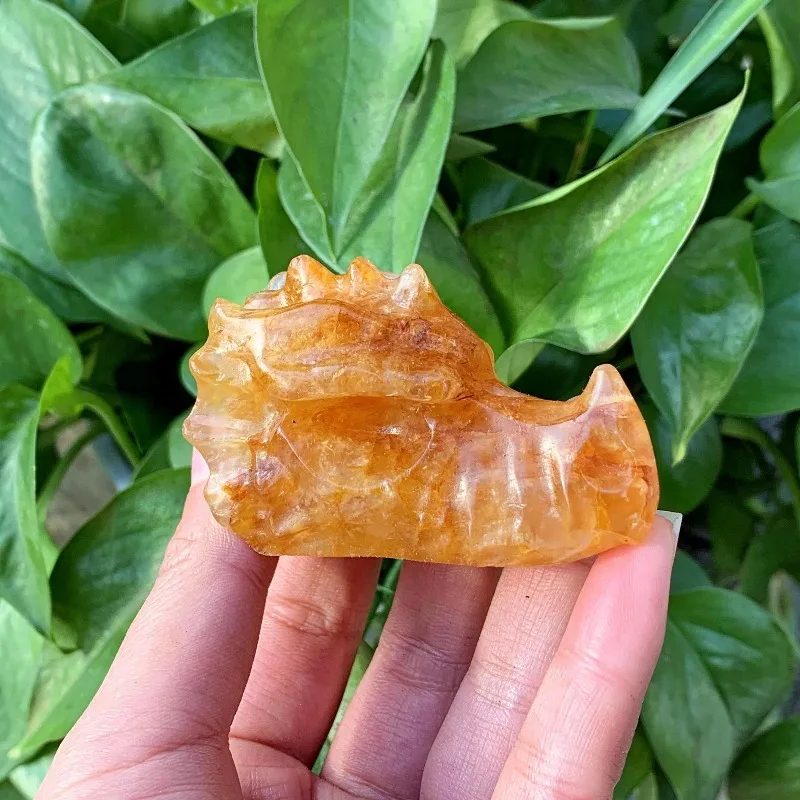 Natural Golden Healer Dragon Skull,Crystal Dragon head, Gift,Home Decor，Reiki Healing，Mineral Crystal Rock Ornament