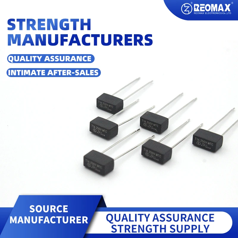 Square NTS Series Time-Lag Radial Lead Micro Fuse 8x4x7mm 100mA 125mA 160mA 200mA 250mA 315mA 400mA 500mA 630mA800mA 1A300V