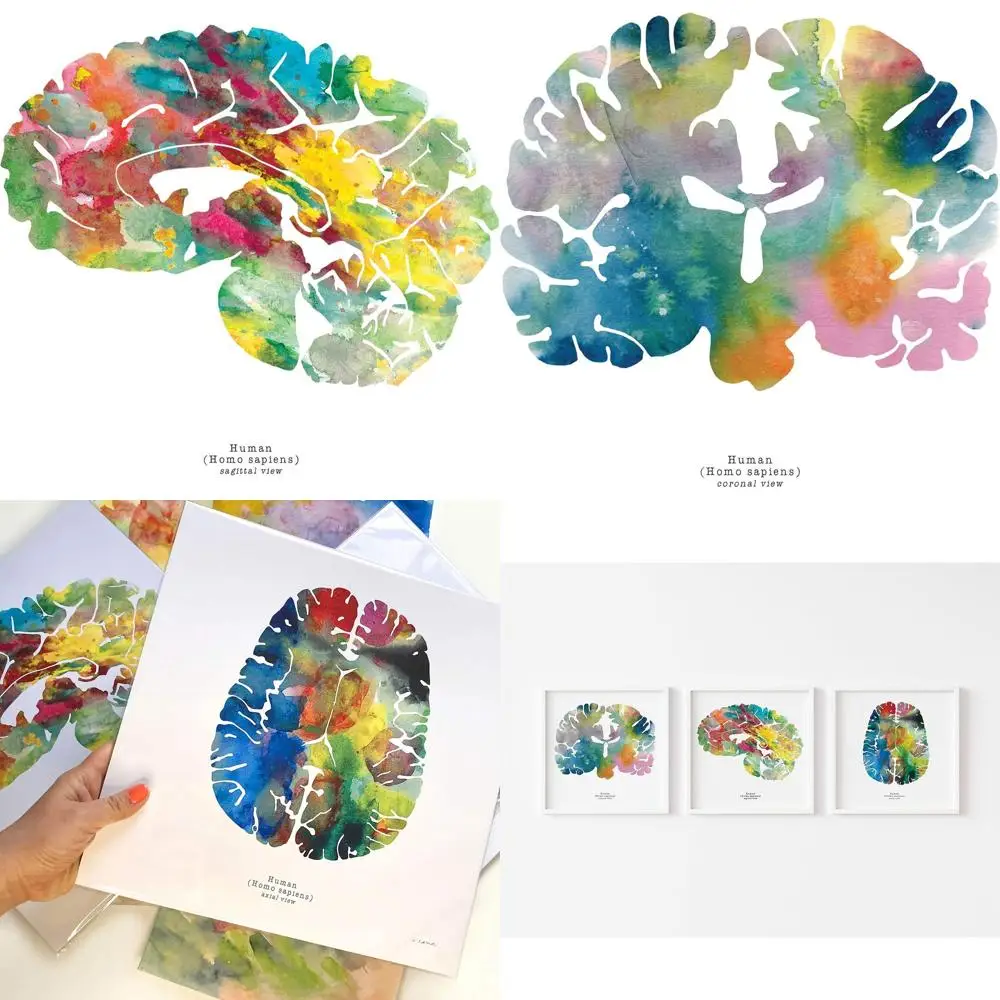 

Арт-набор Neuroscience: 3 принта мозга для медсестер, студентов средней школы и образования — 12x12 от Дж. Sayuri