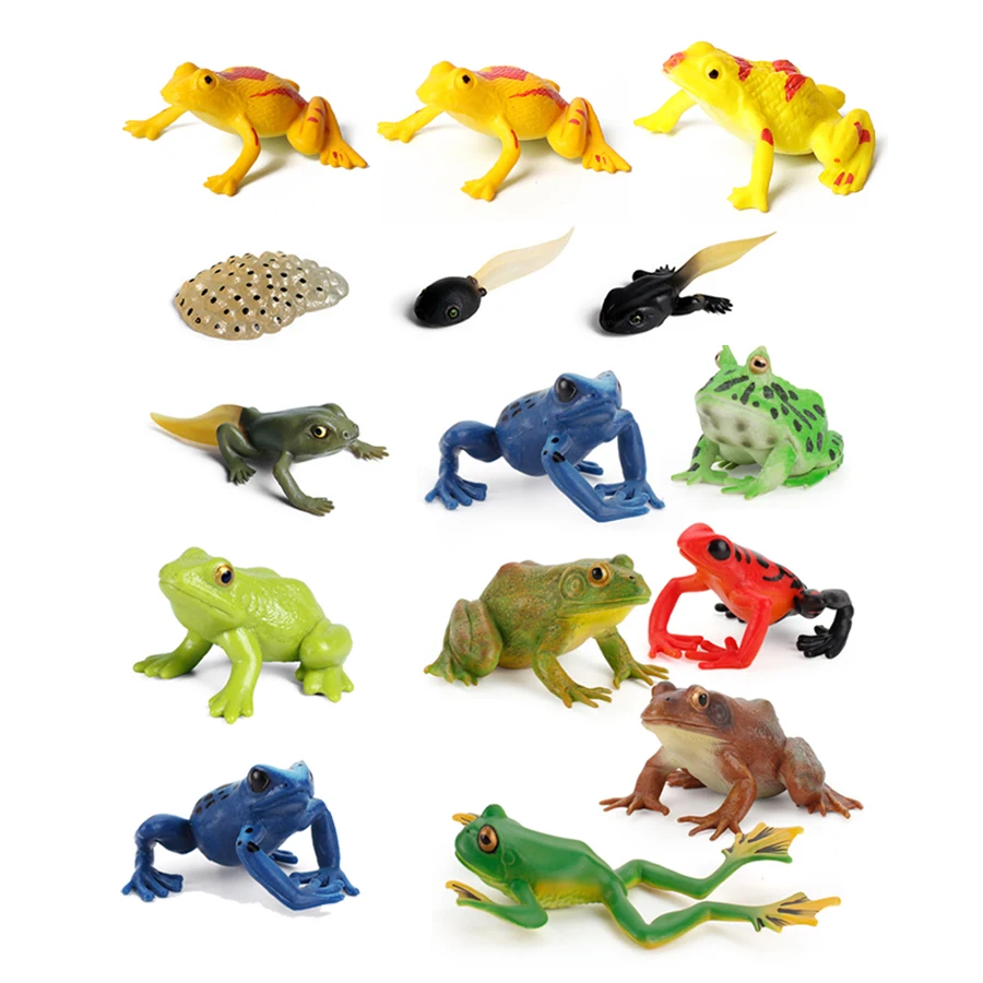 

Realistic Plastic Colorful Poison Dart Frogs,Tree Frog Tadpole Rainforest Forest Animal Model Figurines Cake Topper Party Favor