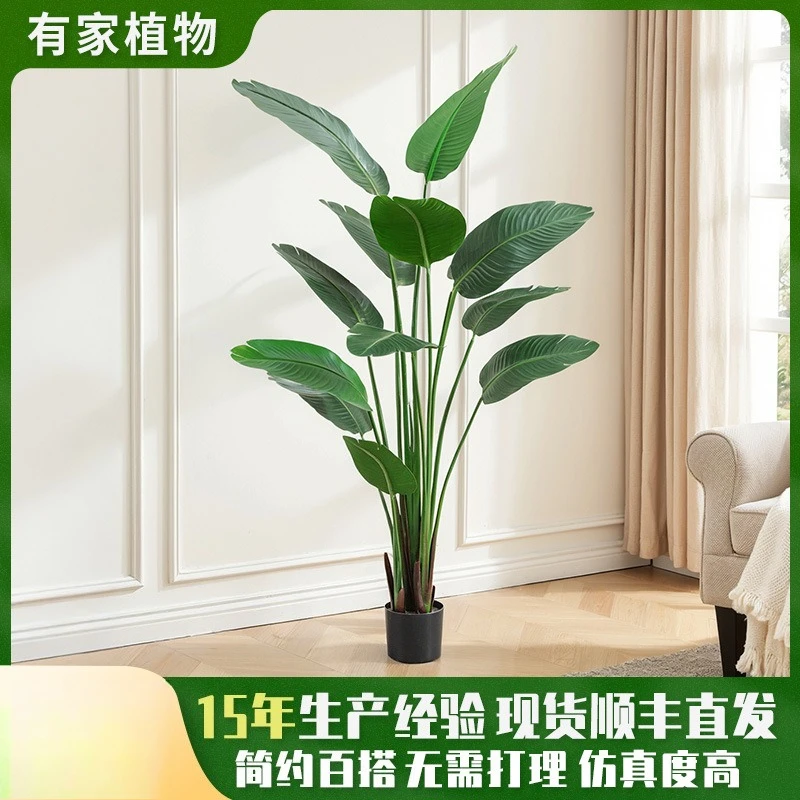 

Nordic simulation green plant bird of paradise large floor potted plant indoor decoration ornament fake tree plant traveler