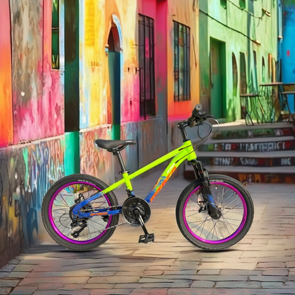 

Daily Commutes 20-Inch 21Speed With Steel Frame & Inner Sticker Durable Riding for Daily Disc Brake Mountain Bike for Girls Boys