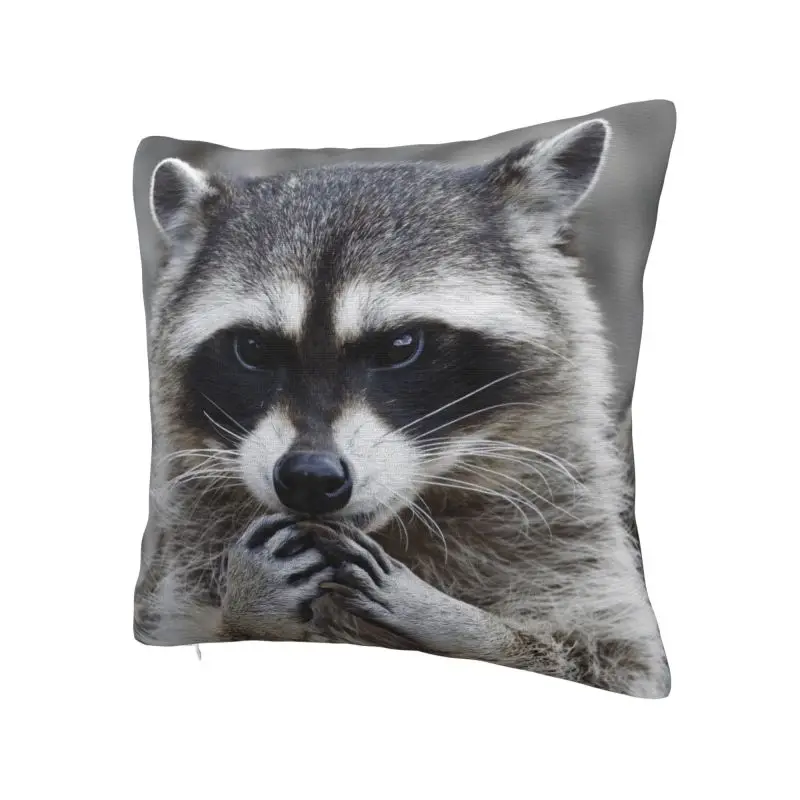 Modern Funny Raccoon Throw Pillow Case Decoration 3D Print Sofa Chair Cushion Cover Polyester Soft Pillowcase Dakimakura