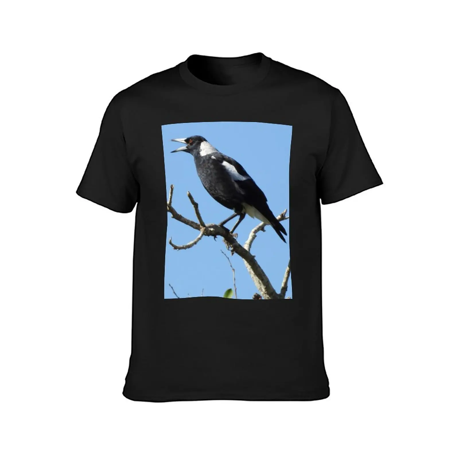 Magpie early morning singing in the tree. T-Shirt animal prinfor boys vintage clothes customs sweat t shirt for men