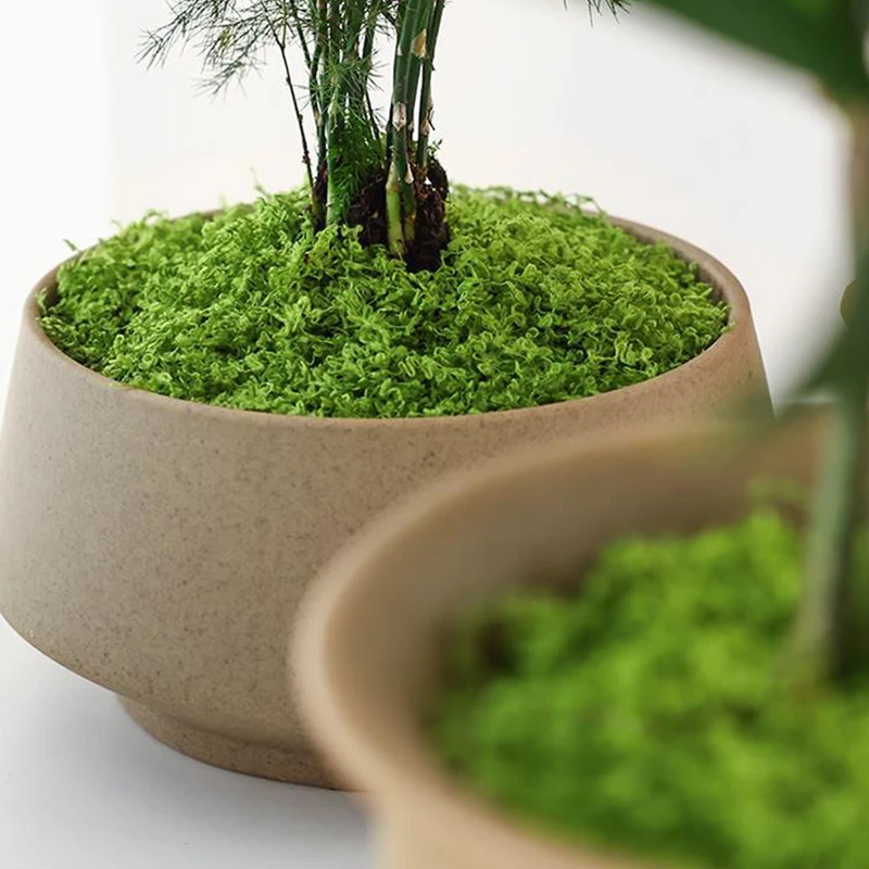 ca. 20 g künstliche Grünpflanzen, Polyester, Moosgras, Zuhause, Wohnzimmer, Garten, Dekoration, Mini-Landschaft, gefälschte Blumen, DIY-Handwerk – Detail 19