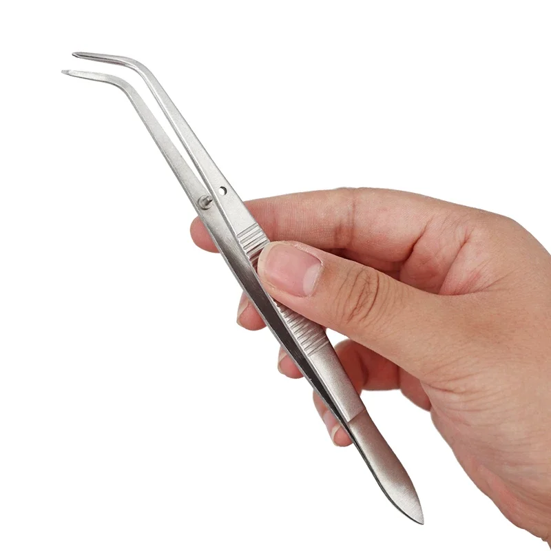 16cm Stainless Steel Tweezers Surgical Serrated Curved Tweezer Pincers Forceps Dentist Lab Instrument Tooth Examination Tool