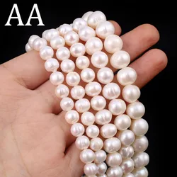 AA Grade Natural Freshwater Pearl Potato Shaped Loose Spacer Beads for Jewelry Making DIY Necklace Bracelet Accessory All Sizes