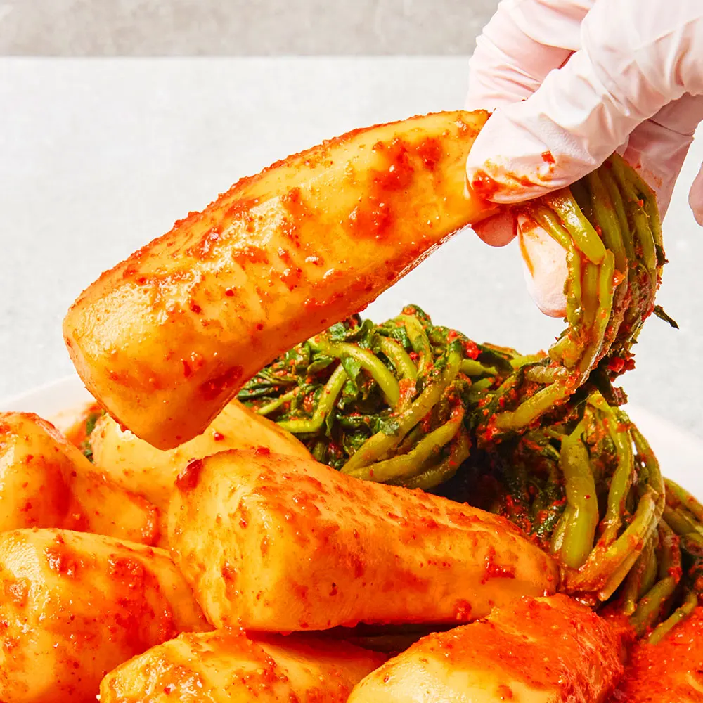 ساكر المحارب البطلينوس البكالوريوس