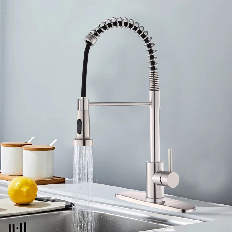 

Stainless Steel Kitchen Faucet with Pull Down Sprayer Spring Structure Single Handle for Hot and Cold Water cleanliness