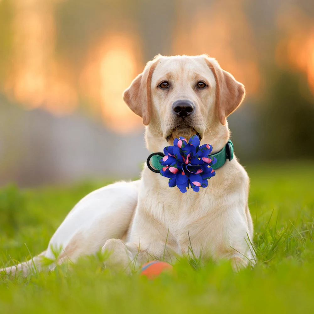 50/100pcs Dog Flower Collar Remove Dog Bowtie Collar Accessories Big Flower-Collar For Pets Bow Ties Collar For Small-Large Dog