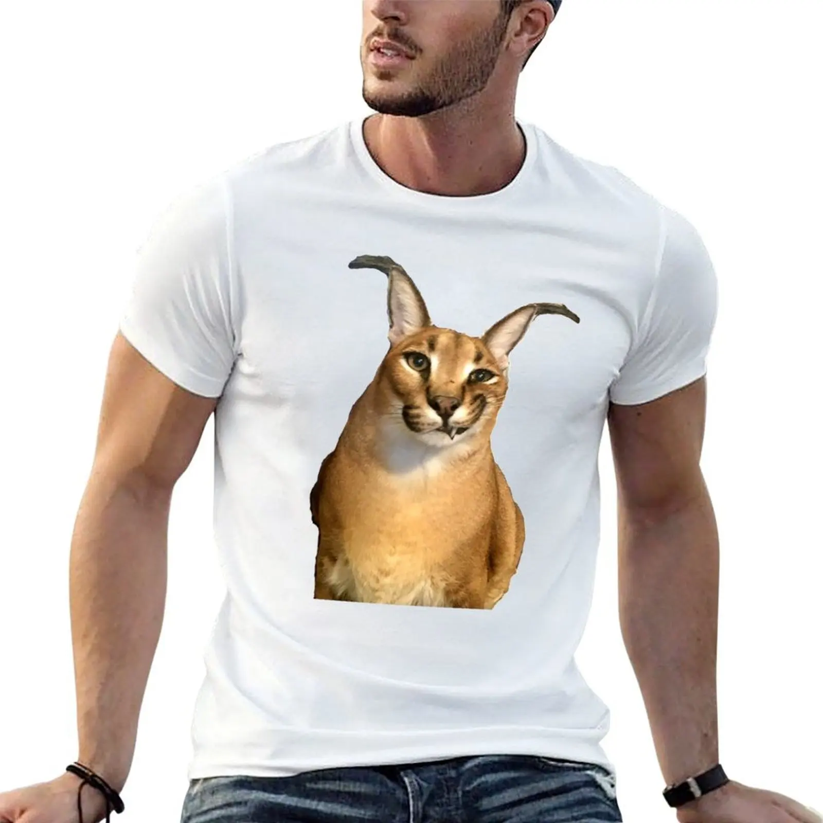 Big Floppa T-Shirt summer clothes anime plain t shirts men