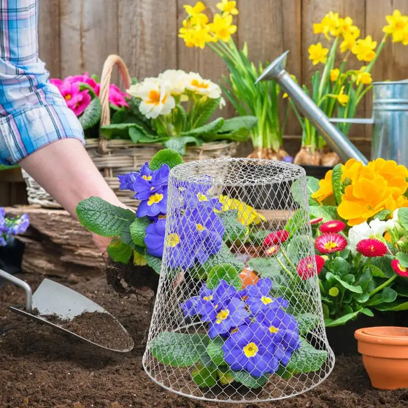 Garden Cloches For Plants 5pcs Keep Squirrels Out Of Flower Pots Protectors Metal Wire Ultimate Protection From Animals Sturdy