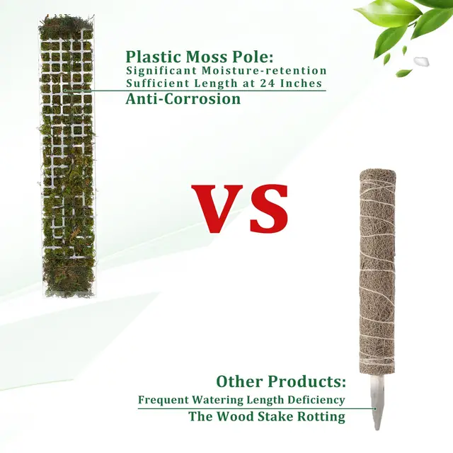 Moss Pole Plastic Plant Stand Indoor Climbing Plants Guardian Tutors Pot Moss Stick For Plants Growth Garden Support Accessories 2 Moss Pole Plastic Plant Stand Indoor Climbing Plants Guardian Tutors Pot Moss Stick For Plants Growth Garden Support Accessories 2