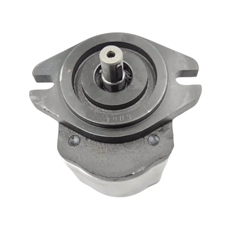 Pompa Hidrolik Seri PLP PLP10.2D0-81E1-LBB/BA-N-EL PLP10.6.3D0 PLP10.2D-30S0-LGC/GC-N-EL Pompa Gigi