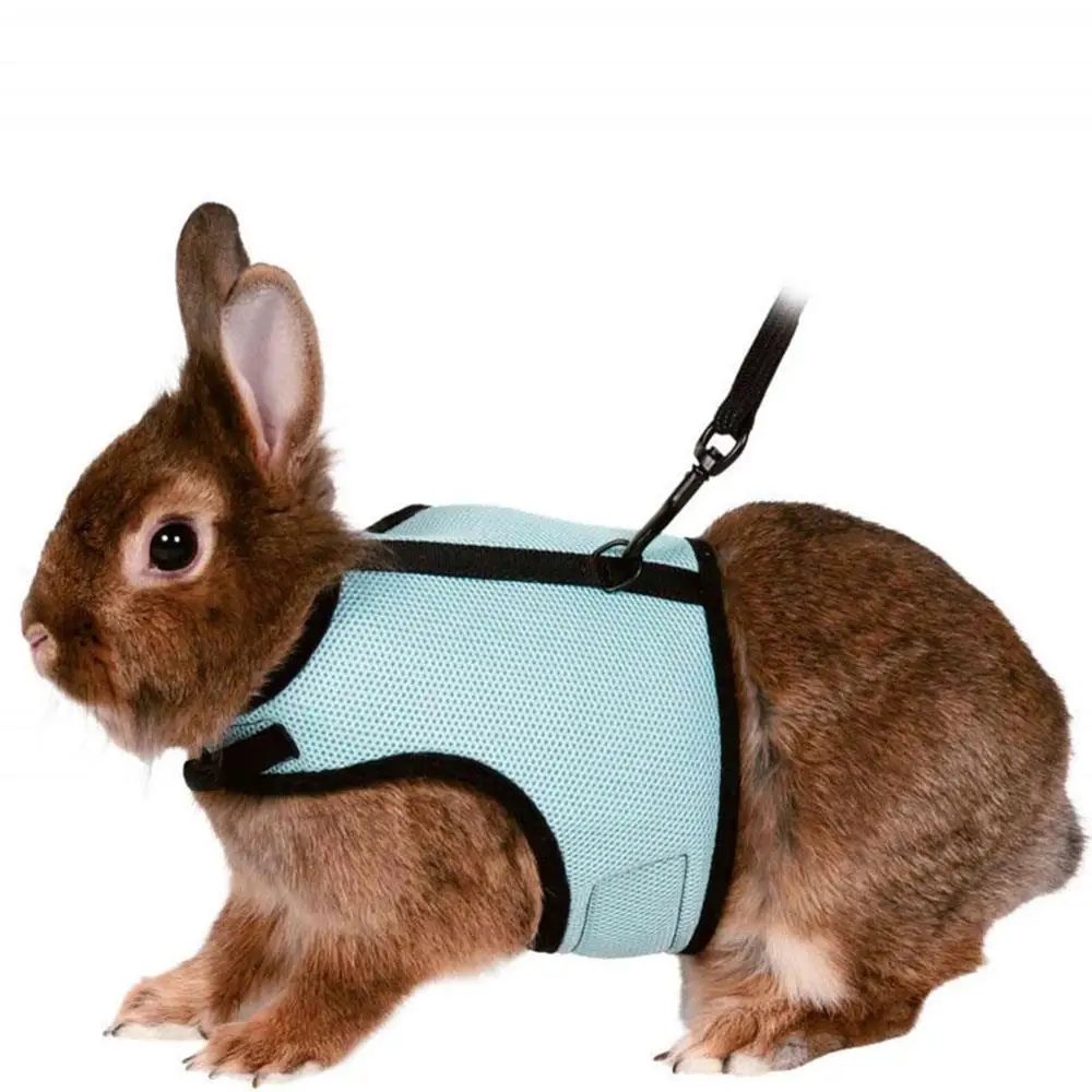 Mutil-Colors Breathable Stylish Vest Small Pet Carrier Bag Adjustable Soft Harness Elastic Leash Set Pet Chest Strap For Rabbits