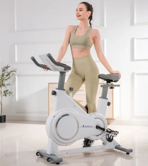 

China Spin Bike Ultra-Quiet Dynamic Bicycle Indoor Sports Exercise Bike1