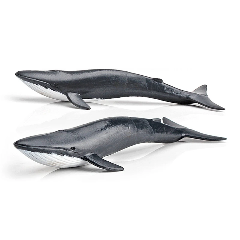 12PCS Simulation Trumpet Marine Biological Model White Shark Walrus Humpback Manatee Children Education Cognitive Toy