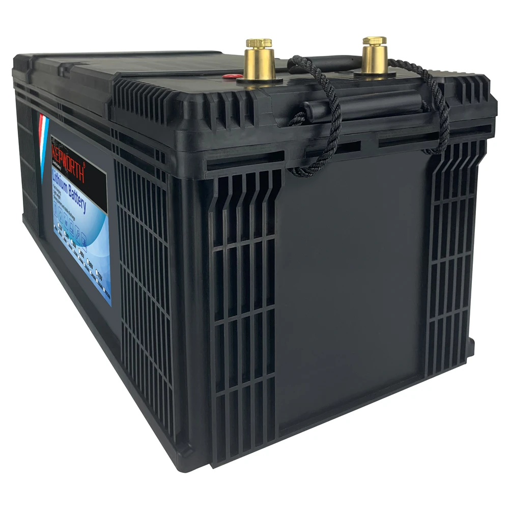 LiFePO4 Lithium Iron Phosphate Battery with BMS, 12V, 24V, 36V, 48V, 100Ah, 120Ah, 200Ah, for Golf Cart, EV, RV, Solar Energy
