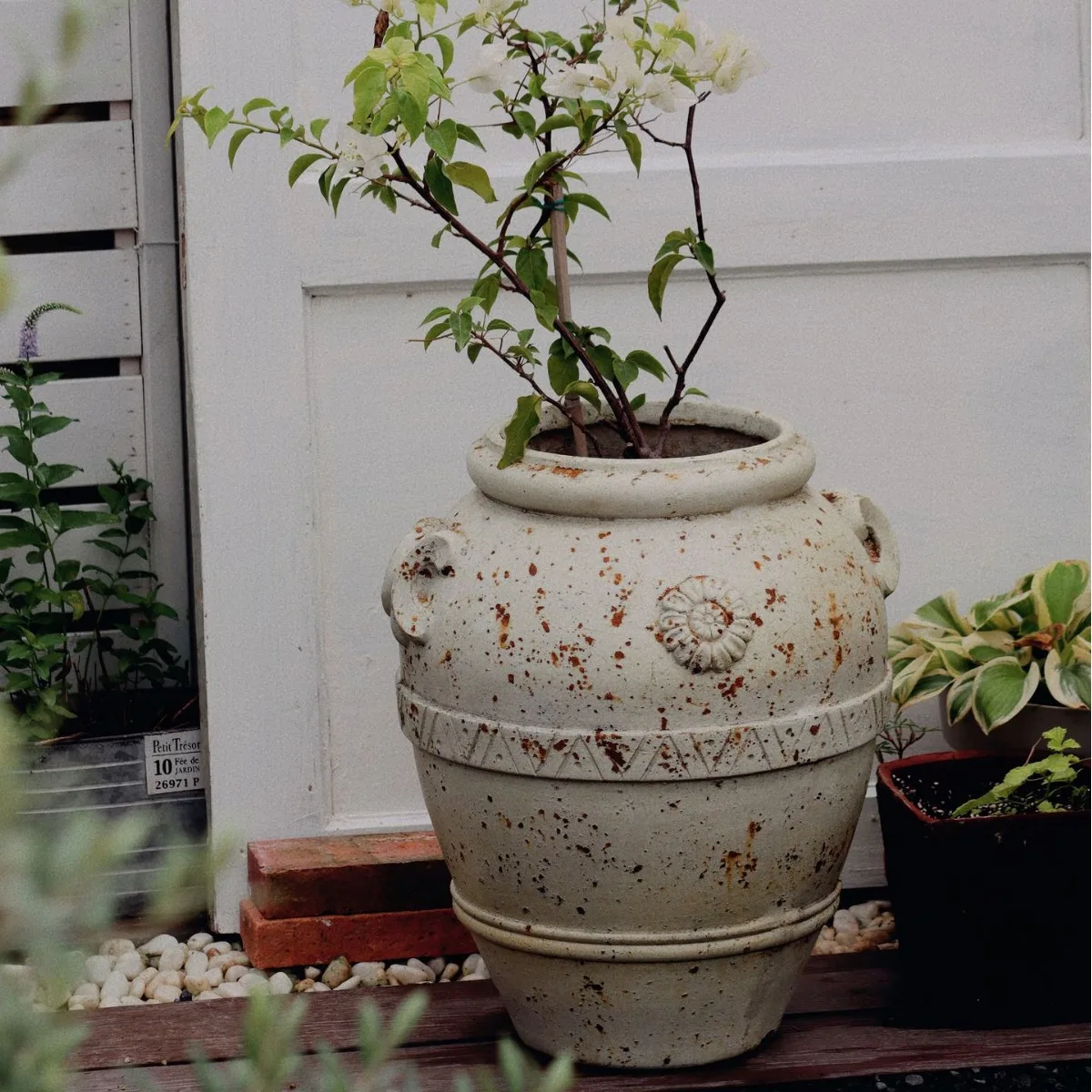 Italian retro old rust jar bougainvillea planting garden balcony decoration ornaments