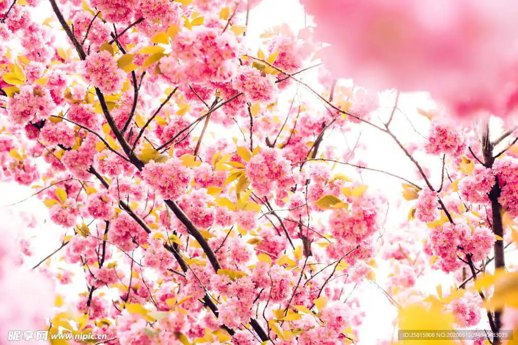 

RS RC Metal 1.9" Beadlock Wheel Rim Tire Set for 1/10 RC Crawler Car Axial SCX10 Wraith RR10 Capra Traxxas TRX4 YK4082 YK4083