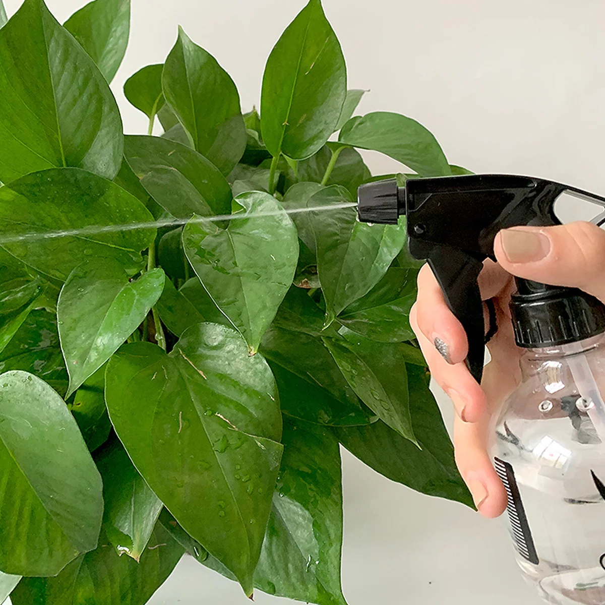 3 قطعة 250 مللي البلاستيك زجاجة رذاذ فارغة مجموعة إعادة الملء ضباب الزناد البخاخ لتصفيف الشعر الخبز حديقة النباتات سقي أدوات