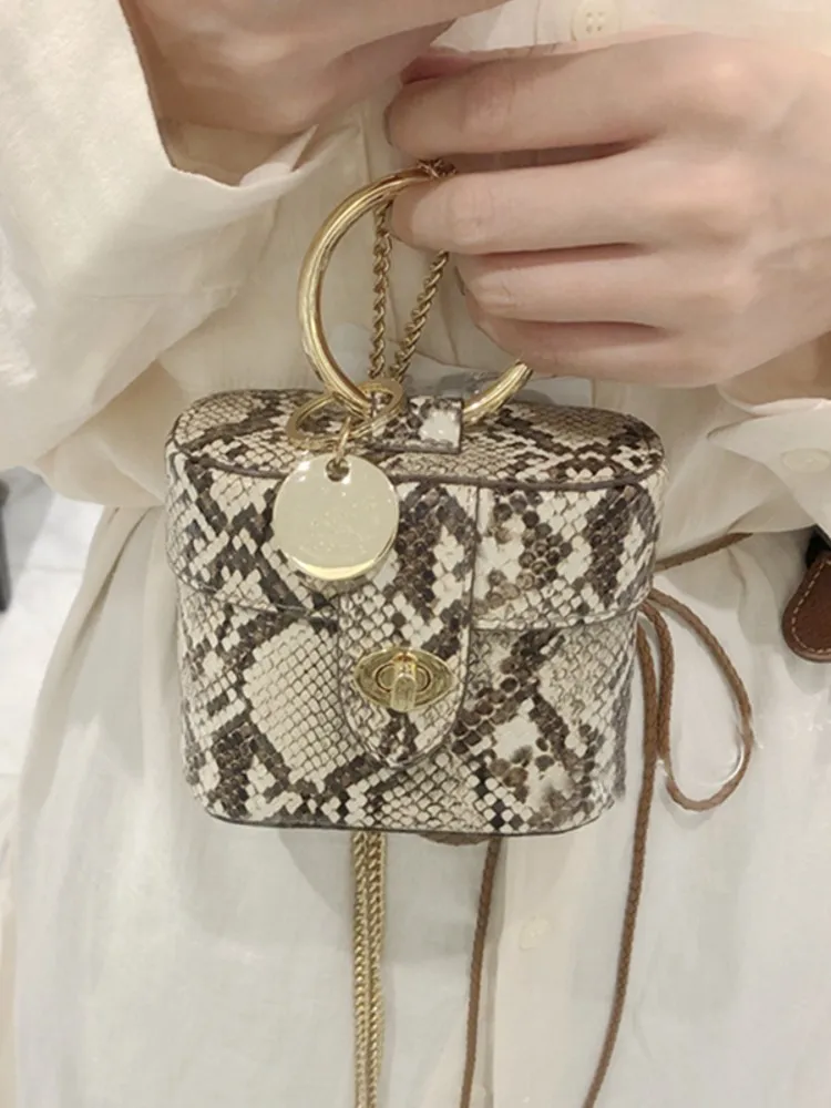 Fashion Women Mini Flap Box Bag Vintage Serpentine Pattern Ring Handbag Totes Designer Ladies Small Chain Crossbody Shoulder Bag