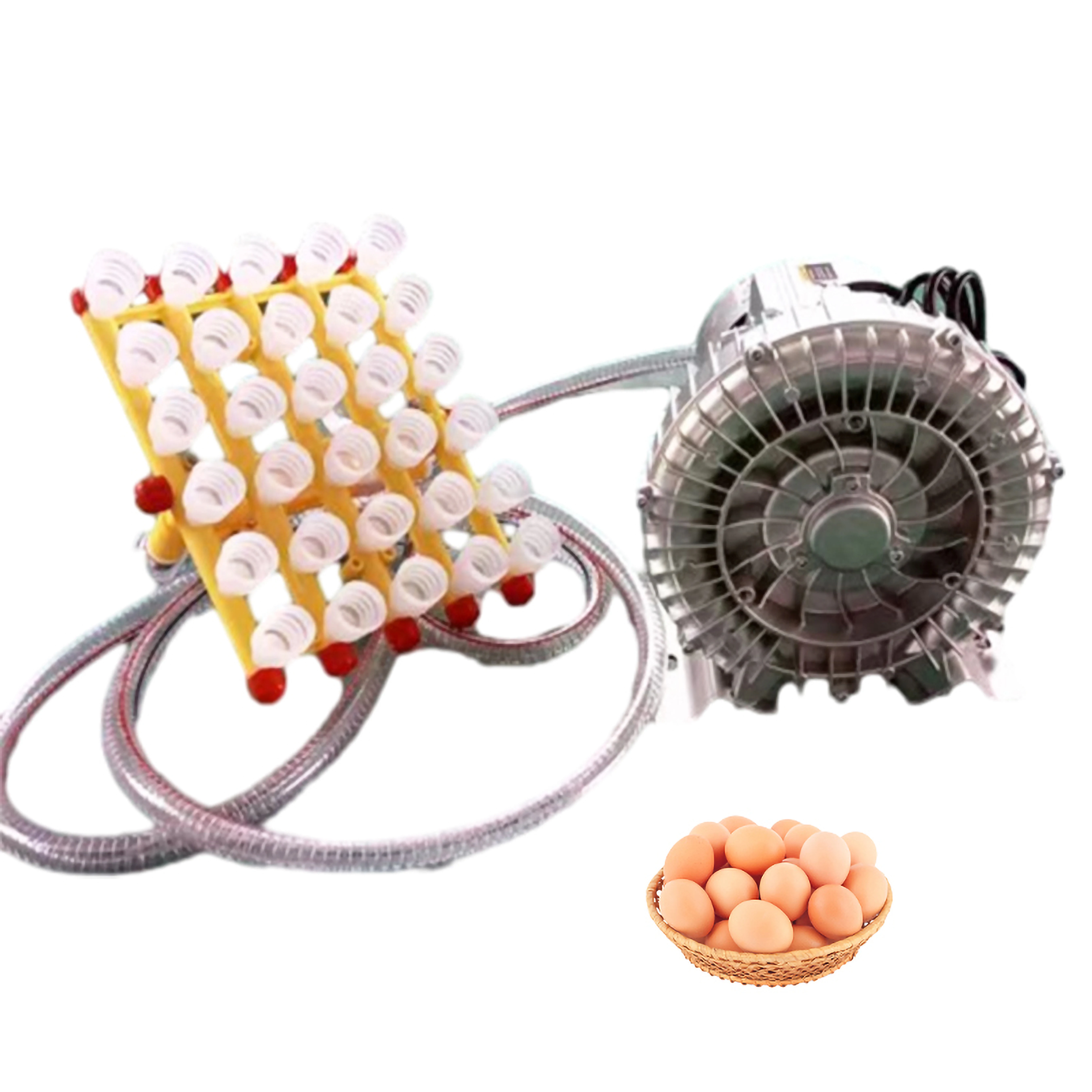 

Egg Processing Equipment Sucker Vacuum Egg Lifter 30 Pcs Egg Candling Table and Transfer Machine