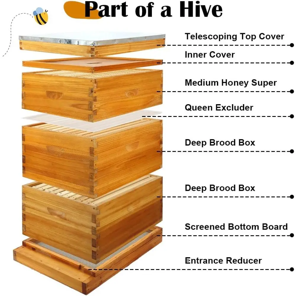 10-Frame Beehive Kit with Waxed Bottom Board, Includes 2 Deep and 1 Medium Boxed Foundations