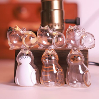 Small Ornaments Cat Fur Storage Pendant Transparent Container Handmade Design Stylish Keychain Bright Link Capsule