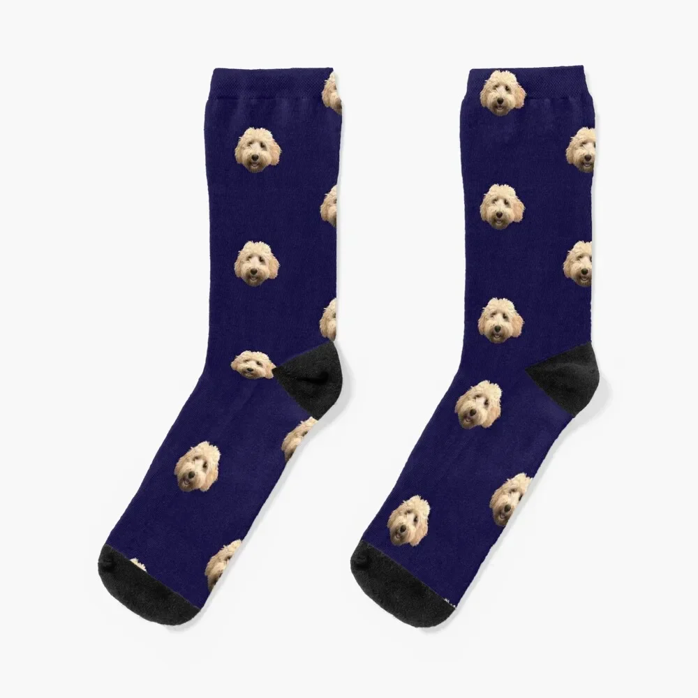 

Rosie the Goldendoodle Socks cartoon kids anime Socks Women Men's