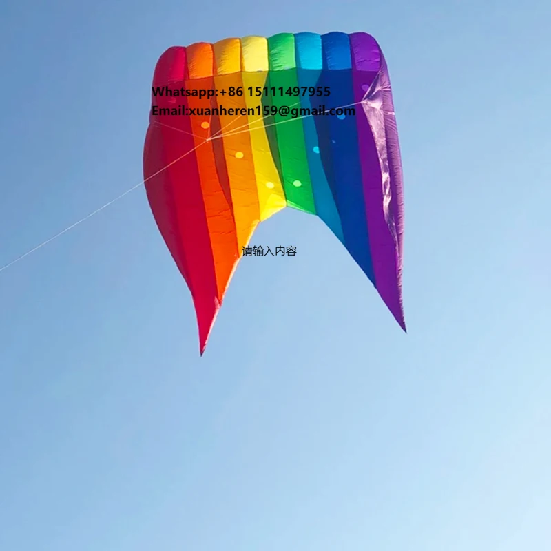 Chinese Large  Nylon Flying 20SQM  Customization 3d Inflatable Soft Beach Pilot Lifter  Kite for Sale
