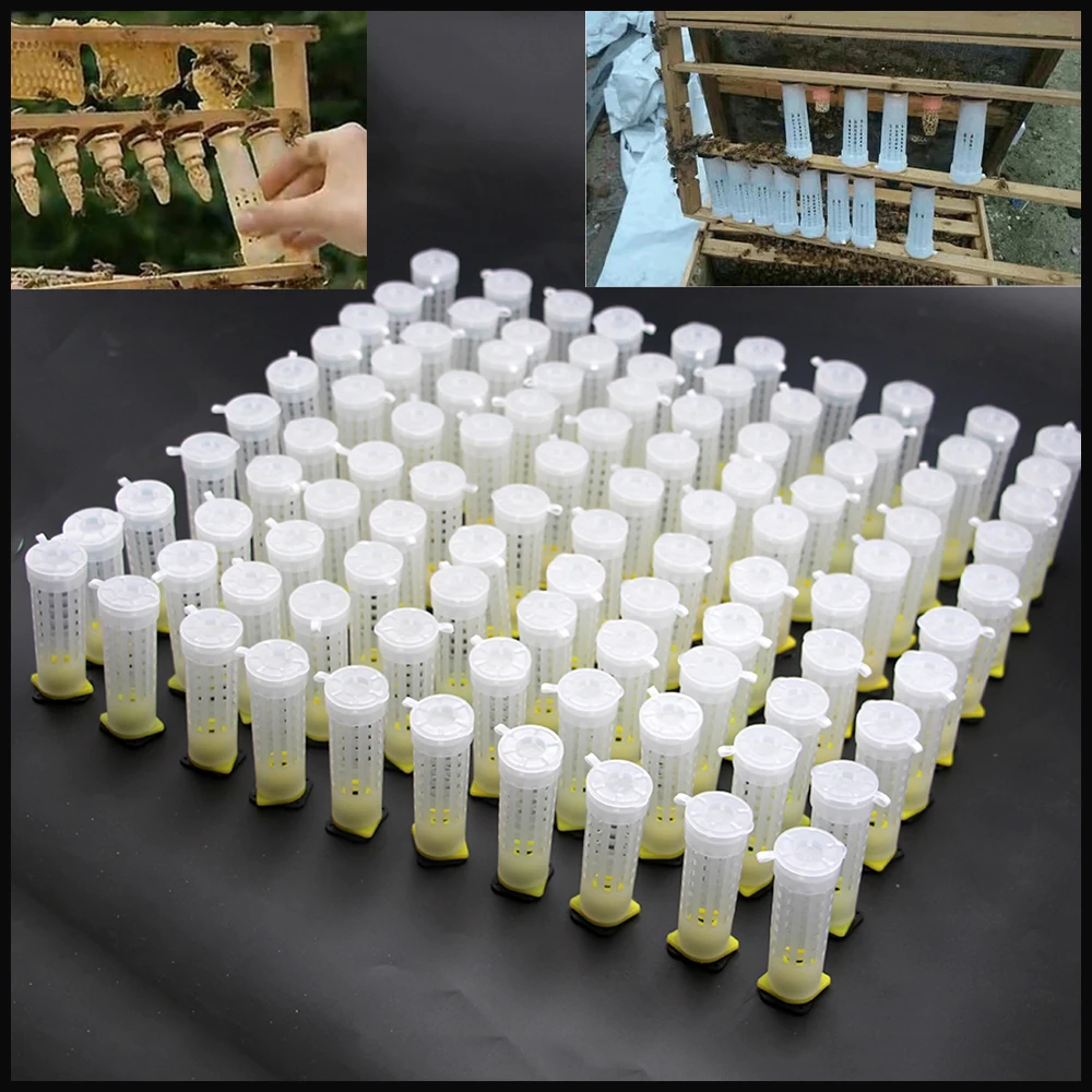 

100PCS Nicot Queen Rearing Cage Hair Roller Protection Hatched Transferred Cup Cell Plastic Anti Bite Beekeeping Tools Supplies