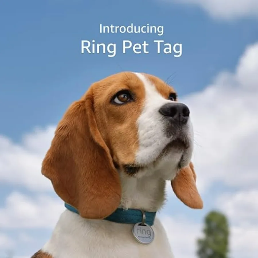 

Ring Pet Tag Easy-to-use tag with QR code Real-time scan alerts Shareable Pet Profile No subscription or fees