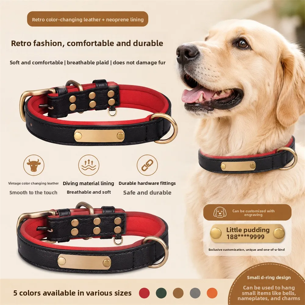 Thumbnail 3 - #20 Compare Dog Collars Before You Buy